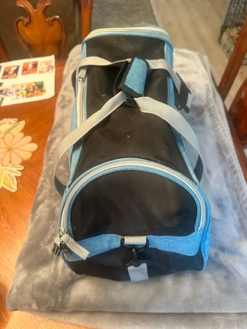 Blue Soft-Sided Pet Carrier with Gray Straps